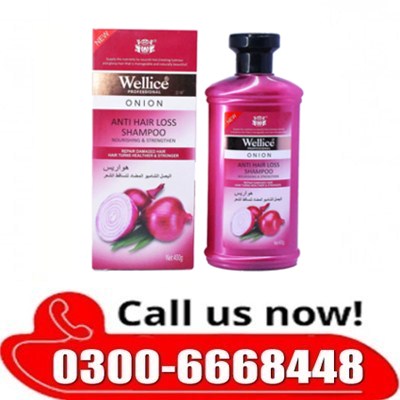 Mishlu Wellice Onion Anti Hair Loss Shampoo