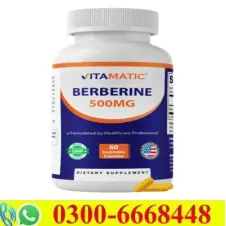Vitamatic Berberine Supplement 500mg